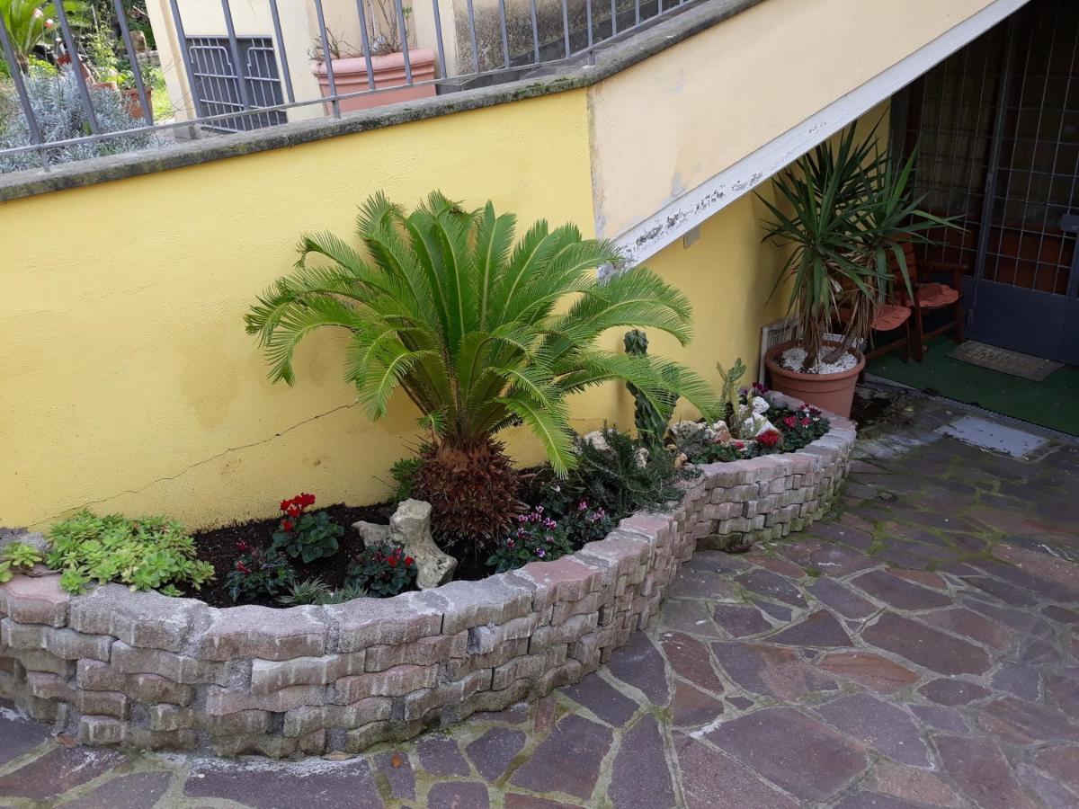 Flowery House Apartment Rome Exterior photo
