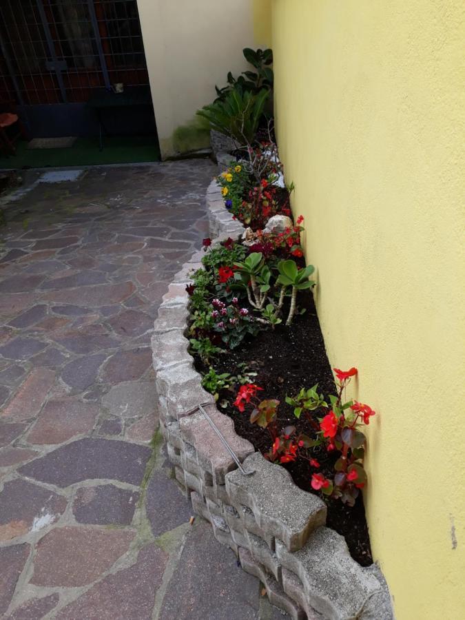 Flowery House Apartment Rome Exterior photo